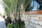 Exterior Landscaping